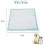 Pets First Premium Training Dog Pads (75 Count) Newest Upgraded 2020 Version - Most Absorbent Puppy Pads. Latest Tech of Doggy Pads for Training Pets & Avoiding Leaks, Blue, Model: TP-6075 Pets First Premium Training Dog Pads (75 Count) Newest Upgraded 2020 Version - Most Absorbent Puppy Pads. Latest Tech of Doggy Pads for Training Pets & Avoiding Leaks, Blue, Model: TP-6075