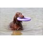 Puller Unique Dog Toy Purple Rings(2 Items) for Every Day Outdoor Training