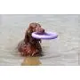 Puller Unique Dog Toy Purple Rings(2 Items) for Every Day Outdoor Training