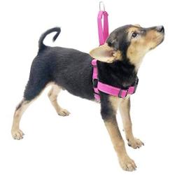 HIVVI Dog Harness No Pull, Solid Dog Leashes & Harness