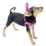HIVVI Dog Harness No Pull, Solid Dog Leashes & Harness