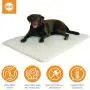 K&H Pet Products Cool Bed III Thermoregulating Pet Bed Large 32'' x 44'' K&H Pet Products Cool Bed III Thermoregulating Pet Bed Large 32'' x 44''