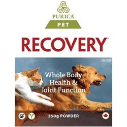 Recovery SA Powder 350 g