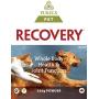 Recovery SA Powder 350 g
