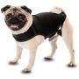 Company of Animals Anxiety Wrap, Black