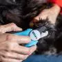 Kitte Dog & Cat Pets Nail Clippers and Trimmers -W Safety Guard to Avoid Over Cutting, Free Nail File, Razor Sharp Blade - Professional Grooming Tool and Claws Trimmer Kitte Dog & Cat Pets Nail Clippers and Trimmers -W Safety Guard to Avoid Over Cutting, Free Nail File, Razor Sharp Blade - Professional Grooming Tool and Claws Trimmer