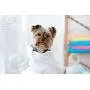 Pawtitas Dog Shampoo and Conditioner Aromatherapy Pet Care Plant Based Made with Certified Organic Natural Herbs, Essential Oil, Colloidal Oatmeal, Puppy Shampoo Deodorant Pet Odor Eliminator 16 Oz Pawtitas Dog Shampoo and Conditioner Aromatherapy Pet Care Plant Based Made with Certified Organic Natural Herbs, Essential Oil, Colloidal Oatmeal, Puppy Shampoo Deodorant Pet Odor Eliminator 16 Oz