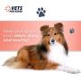 Vets Preferred Oatmeal Dog Shampoo for Dogs - 5 in 1 Pet Shampoo for Dogs & Puppy Shampoo for Dogs Over 12 Weeks, Hypoallergenic Dog Shampoo with Coconut, Oatmeal, & Aloe (16oz) - 2-Pack
