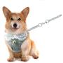 Didog Adjustable Pet Mesh Vest Harness and Leash Set with Cute Bell for Puppy Small Medium Dogs and Cats