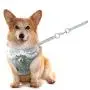 Didog Adjustable Pet Mesh Vest Harness and Leash Set with Cute Bell for Puppy Small Medium Dogs and Cats Didog Adjustable Pet Mesh Vest Harness and Leash Set with Cute Bell for Puppy Small Medium Dogs and Cats