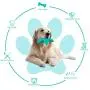 USWT Dog Chewer Toothbrush Squeaky Toys, Teeth Cleaning Remove Calculus Keep Dental Healthy Remove Calculus, Starfish Design Chewer for Large Dog USWT Dog Chewer Toothbrush Squeaky Toys, Teeth Cleaning Remove Calculus Keep Dental Healthy Remove Calculus, Starfish Design Chewer for Large Dog