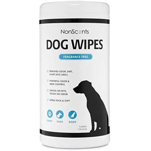 NonScents Dog Wipes - Deodorizing Pet Grooming Wipes - Earth-Friendly, Hypoallergenic