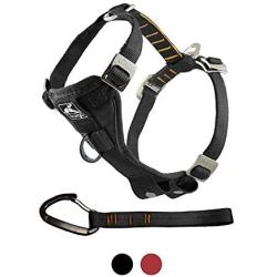 Kurgo Enhanced Tru-Fit Smart Dog Harness