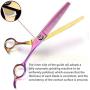 Purple Dragon 6.5'' 55 Tooth Professional Pet Grooming Scissors - Dog Thinning/Blending Shears - Animal Hair Trimmer for Pet Groomer