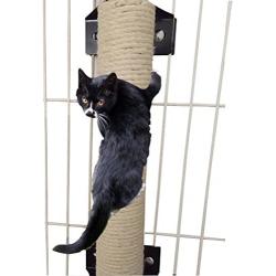 Creation Core Premium Quality Cat Scratching Posts for Cages/Wall