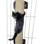 Creation Core Premium Quality Cat Scratching Posts for Cages/Wall Creation Core Premium Quality Cat Scratching Posts for Cages/Wall