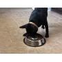 Kobys Paws Stainless Steel Slow Feed Interactive Dog Bowl with Non-Slip Bottom Prevents Bloat, Rapid Eating and Improves Digestive Health