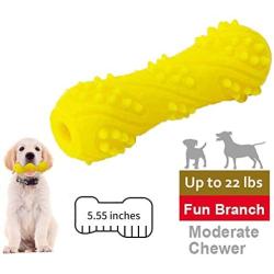 EETOYS Dog Squeaky Toys for Small Medium Large Dogs Durable Dog Chew Toys Designed for Puppy Teething Made W/TPE Rubber for Moderate Chewers