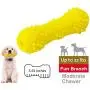 EETOYS Dog Squeaky Toys for Small Medium Large Dogs Durable Dog Chew Toys Designed for Puppy Teething Made W/TPE Rubber for Moderate Chewers EETOYS Dog Squeaky Toys for Small Medium Large Dogs Durable Dog Chew Toys Designed for Puppy Teething Made W/TPE Rubber for Moderate Chewers