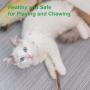 IETANG Cat Treat Chew Stick Toys,Sticks Organic Natural Plant Healthy Snacks Teeth Cleaning Bite Sticks, Kittens Cleaning Teeth Molar Tools, Cat Silvervine Sticks Value Set for Pets