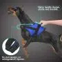 MissYou No Pull Dog Harness with Handle, Easy On and Off, Reflective Pet Vest Harness, Breathable & Adjustable Perfect on The Go for Small Medium Large Dogs MissYou No Pull Dog Harness with Handle, Easy On and Off, Reflective Pet Vest Harness, Breathable & Adjustable Perfect on The Go for Small Medium Large Dogs