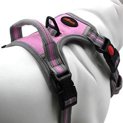 Coohom No Pull Dog Harness with Handle and Two Leash Attachments,Adjustable Outdoor Pet Harness with Reflective Oxford Material for Small Medium Large Dogs