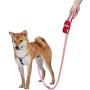 Blueberry Style 2021 New Red Dog Waste Bag Dispenser, Dog Poop Bag Holder Leash Attachment, Includes 1 Roll of Free Poop Bags