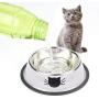 Legendog 3PCS Pet Bowl Stainless Steel Non-Skid Base Dog Bowl Cat Bowl with 2 Food Scoop