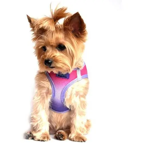 DOGGIE DESIGN American River Step in Mesh Choke Free Reflective Strips Dog Harness Ombre Collection - Raspberry Sundae DOGGIE DESIGN American River Step in Mesh Choke Free Reflective Strips Dog Harness Ombre Collection - Raspberry Sundae