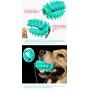 Molauna Dog Toy Toothbrush Stick Rubber Bite Resistant Chewers Cactus Chew Sticks for Dogs Pets with 1 2 Sucker