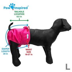 Paw Inspired Washable Dog Diapers | Reusable Dog Diapers | Washable Female Dog Diapers | Cloth Dog Diapers for Dogs in Heat, or Dog Incontinence Diapers (Large (2 ct.), Assorted (White Lining))