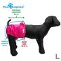 Paw Inspired Washable Dog Diapers | Reusable Dog Diapers | Washable Female Dog Diapers | Cloth Dog Diapers for Dogs in Heat, or Dog Incontinence Diapers (Large (2 ct.), Assorted (White Lining))