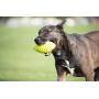 Nerf Dog Squeak Rubber Football Dog Toy