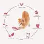 Cat Toothbrush Toy, Catnip Toys for Cats, Cat Toys with Catnip, Silicone Fish Toys Pet Molar Stick Cat Teeth Cleaning Brush, Interactive Chew Toy for Pet Cat Kitten Cat Toothbrush Toy, Catnip Toys for Cats, Cat Toys with Catnip, Silicone Fish Toys Pet Molar Stick Cat Teeth Cleaning Brush, Interactive Chew Toy for Pet Cat Kitten