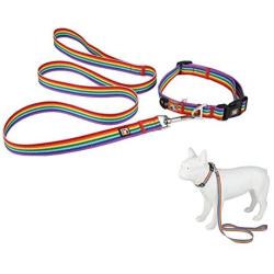 Hcpet Dog Harness (Rainbow Color, S(2.046cm))