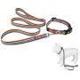 Hcpet Dog Harness (Rainbow Color, S(2.046cm))