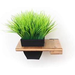 CatastrophiCreations Raised Planter for Cats Elevated Wall-Mounted Cat Grass Feeder for Pets or Decorative