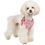 Pinkaholic New York Margaux Harness C - Indian Pink - M