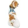 Bond & Co. Intarsia Polar Bear and Fair Isle Dog Harness, XX-Small