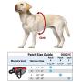 Dogline MaxAire Vest with Search and Rescue Removable Patches Adjustable Harness Reflective for Puppies Small Medium and Large Dogs