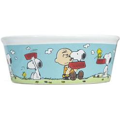 Peanuts Snoopy, Woodstock & Charlie Brown Dog Food Bowl - Heavy Stoneware Pet Dish (5'' Wide)