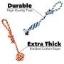 Bepets 4 Pack Dog Rope Toys for Small Dogs to Medium Dogs, Pet Toy Rope Dog Pull Toy Dog Tug Rope Dog Chew Toys for Puppies, Puppy Rope Toys Teething, Tug of War Dog Toy for Small Dog Bepets 4 Pack Dog Rope Toys for Small Dogs to Medium Dogs, Pet Toy Rope Dog Pull Toy Dog Tug Rope Dog Chew Toys for Puppies, Puppy Rope Toys Teething, Tug of War Dog Toy for Small Dog