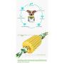 Wollet Dog Toothbrush Chewing Toy Corn Molar Stick Resistant TPR for Dog Grind Teeth Cleaning Dental Oral Care