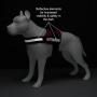 Industrial Puppy Service Dog in Training Vest with Hook and Loop Straps and Detachable Backpacks - Animal Vests from XXS to XXL - Service Dog Harness with Reflective Patch & Comfortable Mesh Design