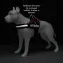 Industrial Puppy Service Dog in Training Vest with Hook and Loop Straps and Detachable Backpacks - Animal Vests from XXS to XXL - Service Dog Harness with Reflective Patch & Comfortable Mesh Design Industrial Puppy Service Dog in Training Vest with Hook and Loop Straps and Detachable Backpacks - Animal Vests from XXS to XXL - Service Dog Harness with Reflective Patch & Comfortable Mesh Design