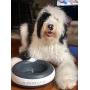 Heyrex Torus Ultimate Water Bowl