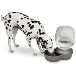Petmate Replendish Gravity Waterer With Microban for Cats and Dogs, 4 Gallons