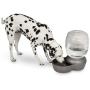 Petmate Replendish Gravity Waterer With Microban for Cats and Dogs, 2.5 Gallons