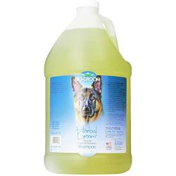 Bio-Groom Herbal Groom Puppies and Kittens Conditioning Shampoo, 1-Gallon