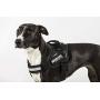 Julius-K9, IDC PowerHarness with Side Rings for Dogs